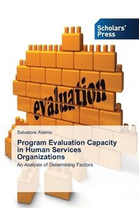 bokomslag Program Evaluation Capacity in Human Services Organizations
