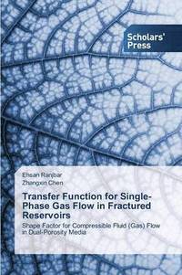 bokomslag Transfer Function for Single-Phase Gas Flow in Fractured Reservoirs