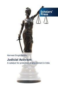 bokomslag Judicial Activism