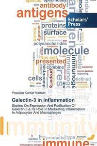 bokomslag Galectin-3 in inflammation