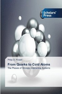 bokomslag From Quarks to Cold Atoms