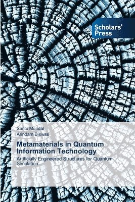 Santu Mondal, Arindam Biswas - Metamaterials in Quantum Information Technology, Häftad