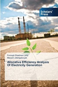 bokomslag Allocative Efficiency Analysis Of Electricity Generation