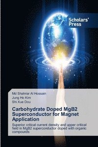bokomslag Carbohydrate Doped MgB2 Superconductor for Magnet Application
