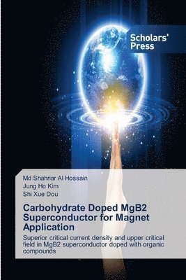 Carbohydrate Doped MgB2 Superconductor for Magnet Application 1