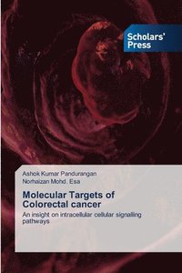 bokomslag Molecular Targets of Colorectal cancer
