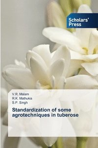 bokomslag Standardization of some agrotechniques in tuberose
