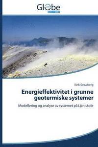 bokomslag Energieffektivitet I Grunne Geotermiske Systemer