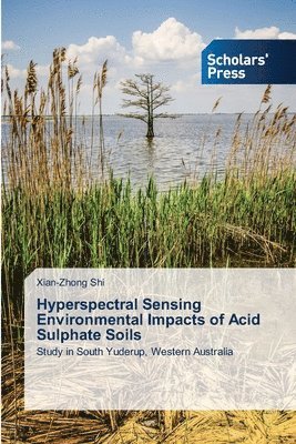 bokomslag Hyperspectral Sensing Environmental Impacts of Acid Sulphate Soils