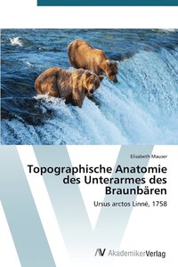bokomslag Topographische Anatomie des Unterarmes des Braunbren