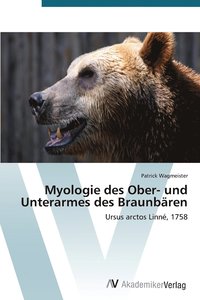 bokomslag Myologie des Ober- und Unterarmes des Braunbren