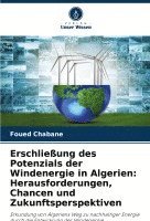 bokomslag Erschließung des Potenzials der Windenergie in Algerien: Herausforderungen, Chancen und Zukunftsperspektiven