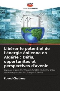 bokomslag Libérer le potentiel de l'énergie éolienne en Algérie: Défis, opportunités et perspectives d'avenir
