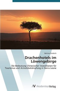 bokomslag Drachenhotels im Lwengebirge
