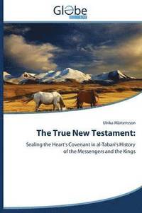 bokomslag The True New Testament