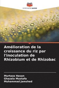 bokomslag Amélioration de la croissance du riz par l'inoculation de Rhizobium et de Rhizobac