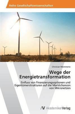 bokomslag Wege der Energietransformation