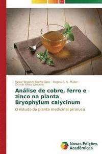 bokomslag Anlise de cobre, ferro e zinco na planta Bryophylum calycinum