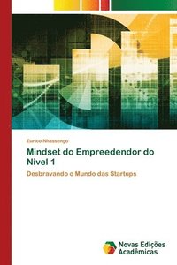 bokomslag Mindset do Empreedendor do Nivel 1