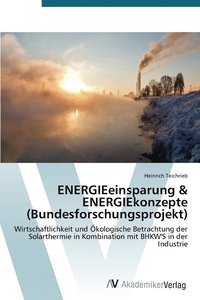 bokomslag ENERGIEeinsparung & ENERGIEkonzepte (Bundesforschungsprojekt)