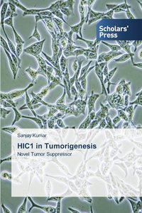 bokomslag HIC1 in Tumorigenesis