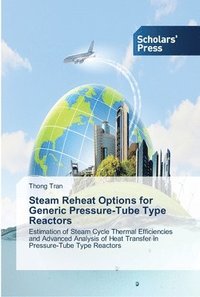 bokomslag Steam Reheat Options for Generic Pressure-Tube Type Reactors