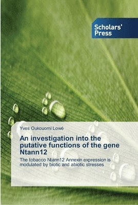 An investigation into the putative functions of the gene Ntann12 1