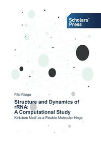 bokomslag Structure and Dynamics of rRNA