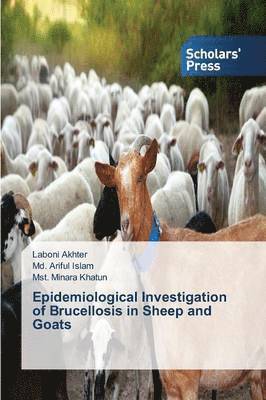 Epidemiological Investigation of Brucellosis in Sheep and Goats 1