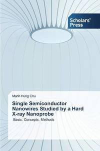 bokomslag Single Semiconductor Nanowires Studied by a Hard X-ray Nanoprobe