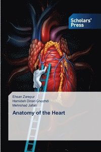 bokomslag Anatomy of the Heart