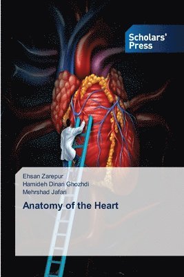 Anatomy of the Heart 1