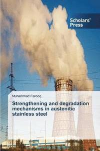 bokomslag Strengthening and degradation mechanisms in austenitic stainless steel