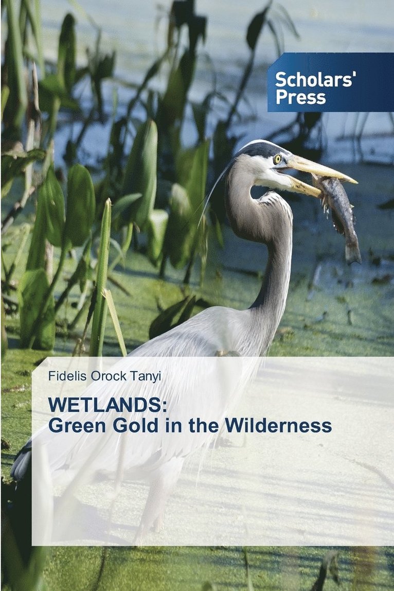 Wetlands 1