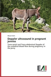 bokomslag Doppler ultrasound in pregnant jennies