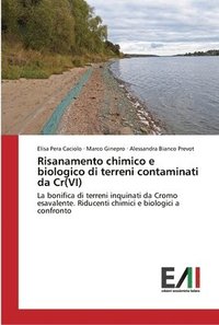 bokomslag Risanamento chimico e biologico di terreni contaminati da Cr(VI)