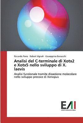 Analisi del C-terminale di Xotx2 e Xotx5 nello sviluppo di X. laevis 1