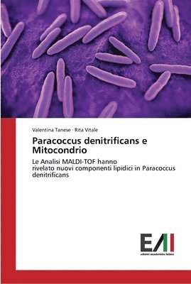bokomslag Paracoccus denitrificans e Mitocondrio