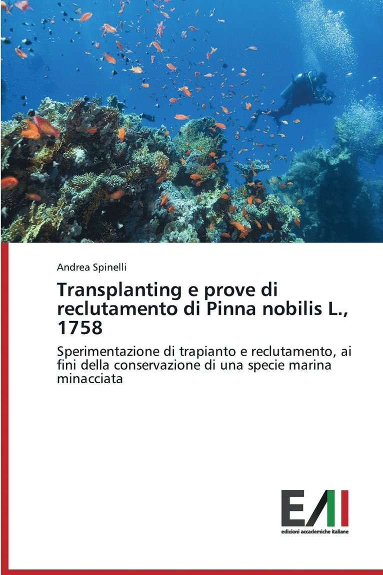 Andrea Spinelli - Transplanting e prove di reclutamento di Pinna nobilis L., 1758, Häftad