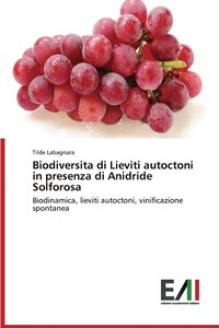 bokomslag Biodiversita di Lieviti autoctoni in presenza di Anidride Solforosa