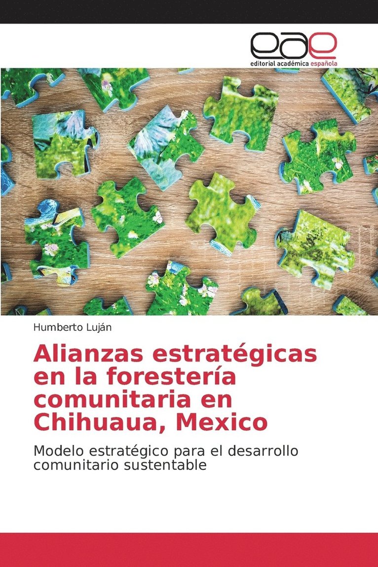 Alianzas estratgicas en la forestera comunitaria en Chihuaua, Mexico 1