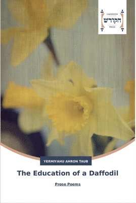 Yermiyahu Ahron Taub - Education of a Daffodil, Häftad
