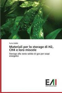 bokomslag Materiali Per Lo Storage Di H2, Ch4 E Loro Miscele