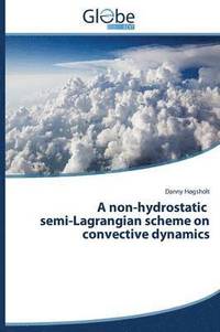 bokomslag A Non-Hydrostatic Semi-Lagrangian Scheme on Convective Dynamics