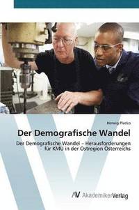 bokomslag Der Demografische Wandel