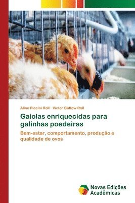 Gaiolas enriquecidas para galinhas poedeiras 1