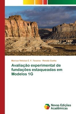 bokomslag Avaliao experimental de fundaes estaqueadas em Modelos 1G