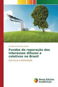 bokomslag Fundos de reparao dos interesses difusos e coletivos no Brasil