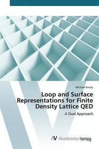 bokomslag Loop and Surface Representations for Finite Density Lattice QED