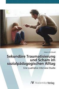 bokomslag Sekundre Traumatisierung und Scham im sozialpdagogischen Alltag